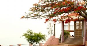 Pagoda Point yercaud
