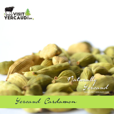 quality cardamom in Yercaud